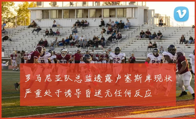 罗马尼亚队总监透露卢塞斯库现状严重处于诱导昏迷无任何反应