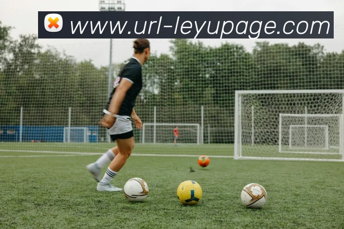 乐鱼体育APP 高清赛事图